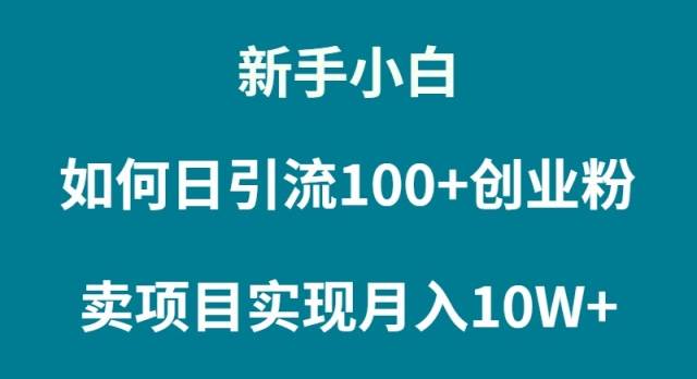 新手小白如何通过卖项目实现月入10W+插图