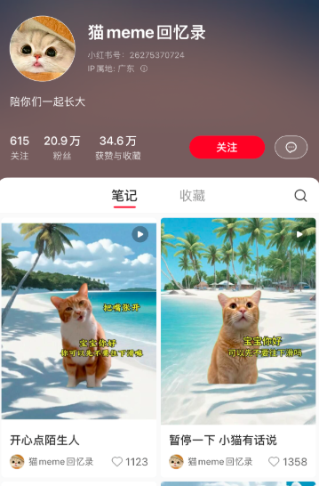 小红书猫meme单月涨粉21万，变现1.9万玩法分析插图