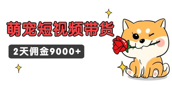 东哲日记·萌宠短视频带货，2天佣金9000+插图