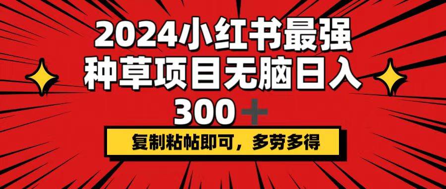 2024小红书最强种草项目，无脑日入300+，**粘帖即可，多劳多得插图