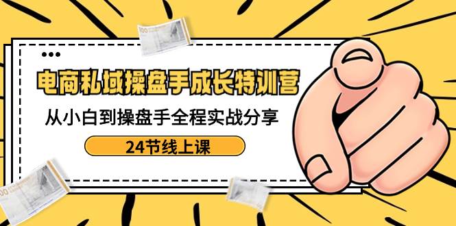 电商私域-操盘手成长特训营：从小白到操盘手全程实战分享-24节线上课插图