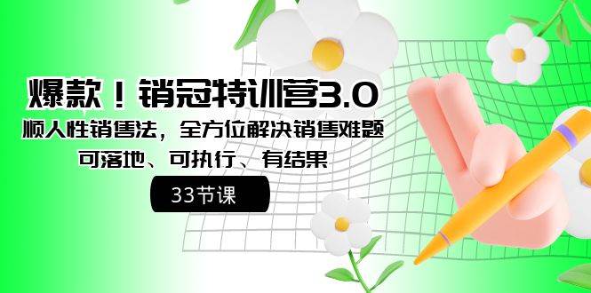 爆款！销冠特训营3.0之顺人性销售法，全方位解决销售难题、可落地、可执行、有结果插图