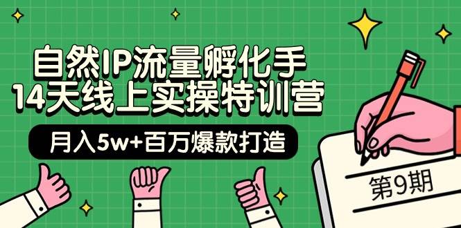 自然IP流量孵化手 14天线上实操特训营【第9期】月入5w+百万爆款打造 (74节)插图