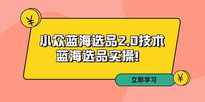 拼多多培训第33期：小众蓝海选品2.0技术-蓝海选品实操！插图