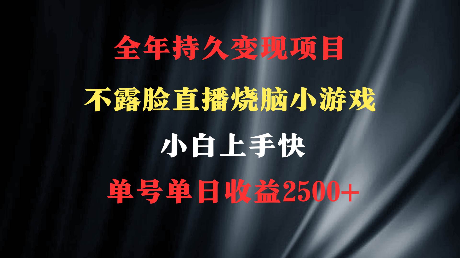 2024年 最优项目，烧脑小游戏不露脸直播  小白上手快 无门槛 一天收益2500+插图