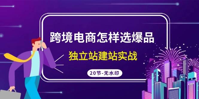 跨境电商怎样选爆品，独立站建站实战（20节高清无水印课）插图