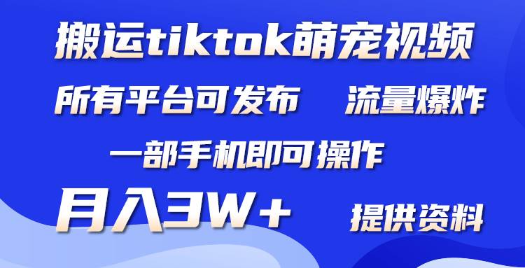 搬运Tiktok萌宠类视频，一部手机即可。所有短视频平台均可操作，月入3W+插图