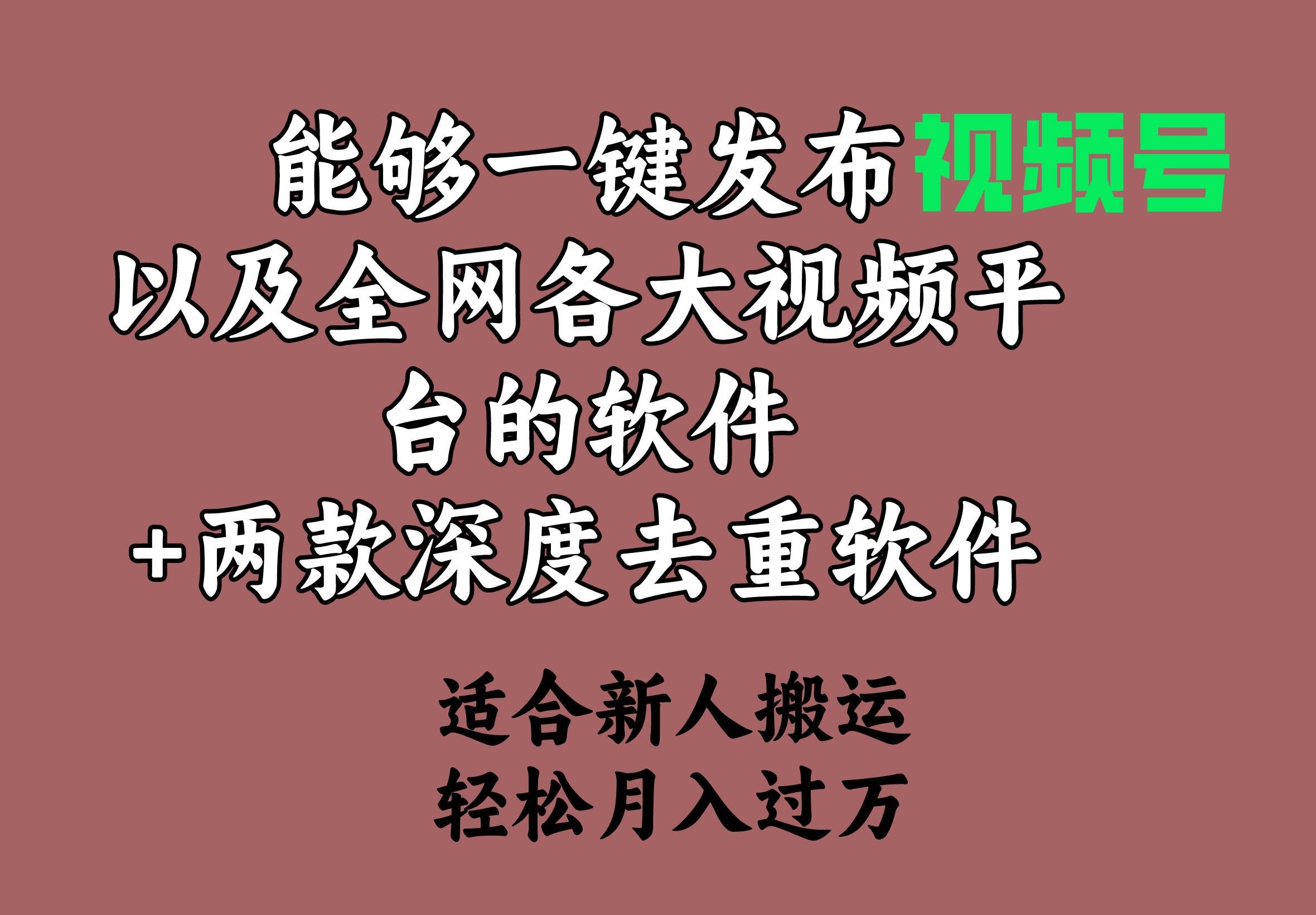 能够一键发布视频号以及全网各大视频平台的软件+两款深度去重软件 适合…插图