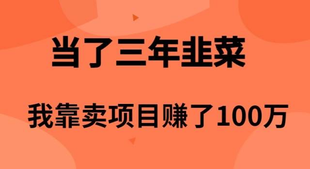 当了3年韭菜，我靠卖项目赚了100万插图