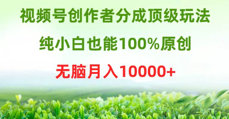 视频号创作者分成顶级玩法，纯小白也能100%原创，无脑月入10000+插图