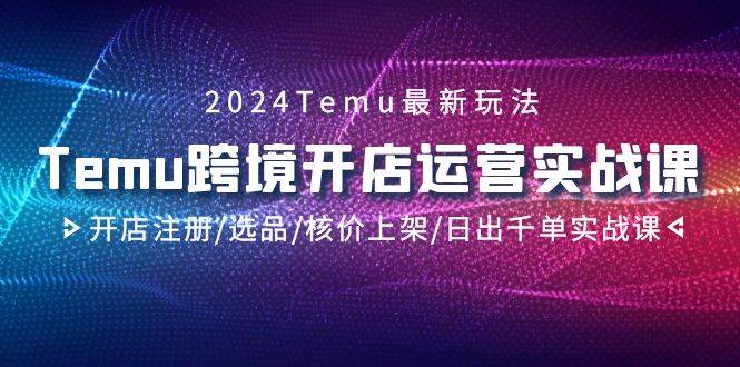 2024Temu跨境开店运营实战课，开店注册/选品/核价上架/日出千单实战课插图