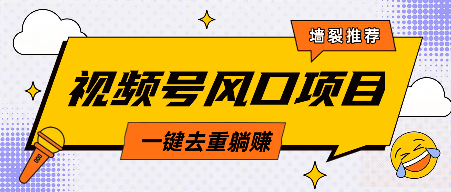 视频号风口蓝海项目，中老年人的流量密码，简单无脑，一键去重，轻松月入过万插图