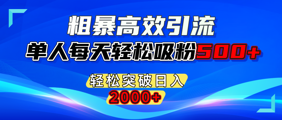 粗暴高效引流,单人每天轻松吸粉500+,轻松突破日入2000+插图