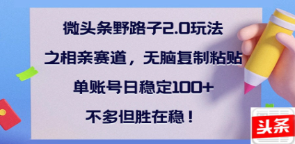 全网首发微头条野路子2.0玩法之相亲赛道，无脑搬砖**粘贴，单账号日稳定300+保姆级教程插图