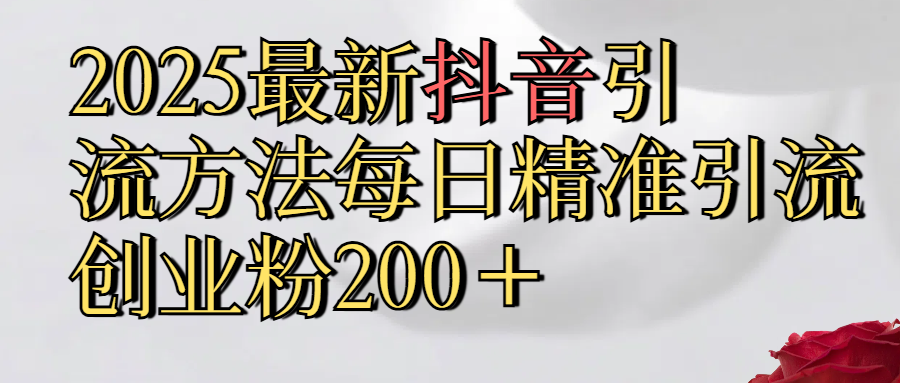 2025最新,抖音引流,方法每日精准引流创业粉300＋插图