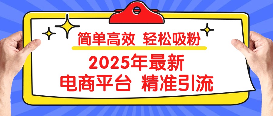 2025年最新电商平台精准引流 简单高效 轻松吸粉插图