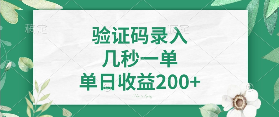 验证码录入，几秒一单，单日收益200+插图