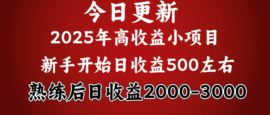 好项目一眼就能看出来，日收益1000，长久可做，2025拼的就是我比你勤奋插图