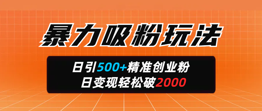 暴力吸粉玩法，日引500+精准创业粉，日变现轻松破2000插图