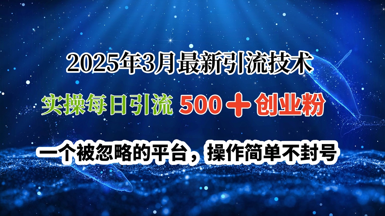 2025年3月最新引流技术，实操每日引流500➕创业粉，一个被忽略的平台，操作简单不封号插图